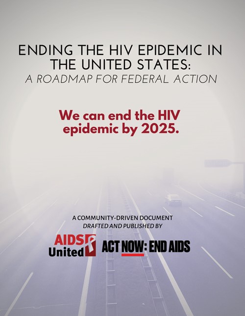 Ending the HIV Epidemic in the United States Plan